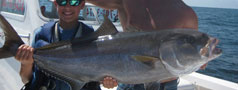 Photo = What We're Catching