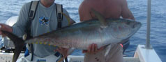 Photo = What We're Catching
