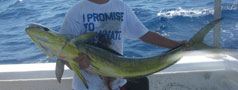Photo = What We're Catching