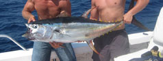 Photo = What We're Catching