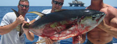 Photo = What We're Catching
