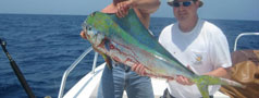 Photo = What We're Catching