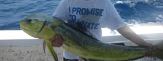 Photo = What We're Catching