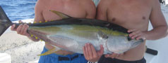 Photo = What We're Catching